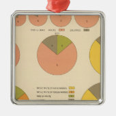 42 Bevölkerung, Elemente 1790-1900 Silbernes Ornament (Vorne)