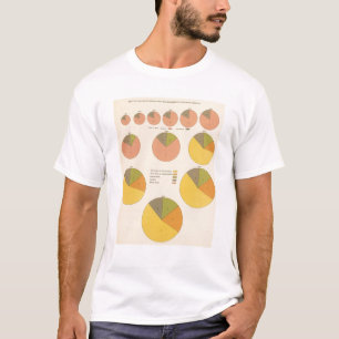 42 Bevölkerung, Elemente 1790-1900 T-Shirt