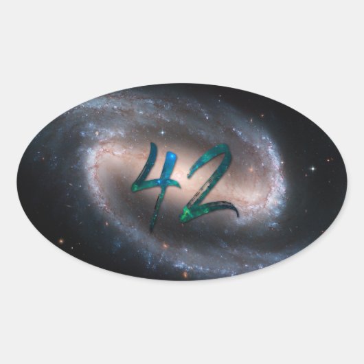 42 - NGC 1300 OVALER AUFKLEBER (Vorderseite)