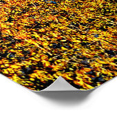 42 X 28 LAKE JUNALUSKA PREMIUM LEINWAND GLOSS POST POSTER (Ecke)