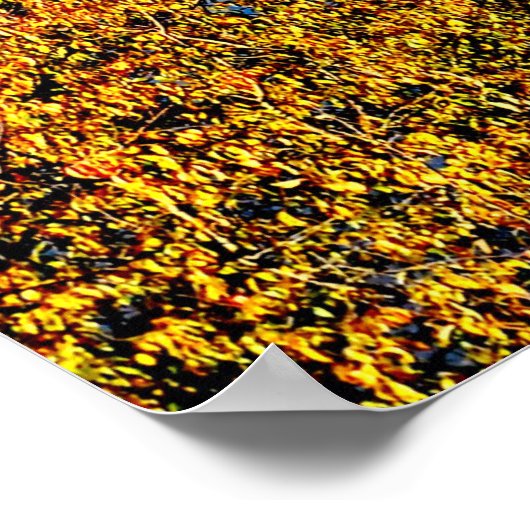 42 X 28 LAKE JUNALUSKA PREMIUM LEINWAND GLOSS POST POSTER (Ecke)