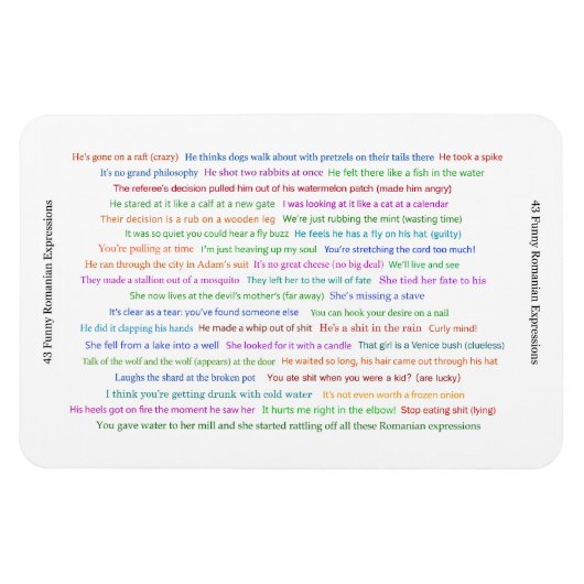 43 Funny Romania Expressions Conversation Piece Magnet (Horizontal)