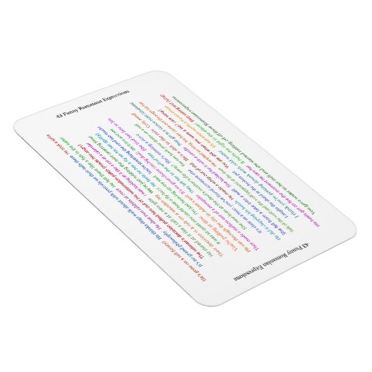 43 Funny Romania Expressions Conversation Piece Magnet (Rechte Seite)