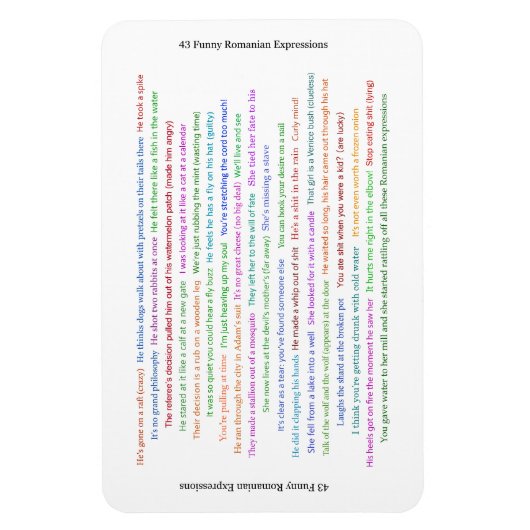 43 Funny Romania Expressions Conversation Piece Magnet (Vertikal)