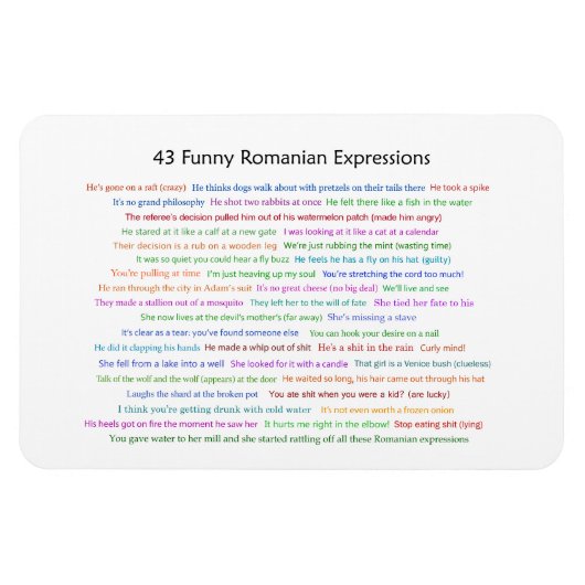 43 Funny Romania Expressions Conversation Piece Magnet (Horizontal)