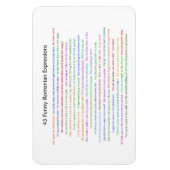 43 Funny Romania Expressions Conversation Piece Magnet (Vertikal)