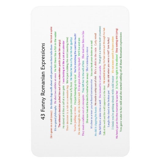 43 Funny Romania Expressions Conversation Piece Magnet (Vertikal)