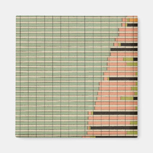 43 Verfassungen von Staaten 1900 Magnet