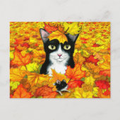 447 POSTKARTE (Vorderseite)