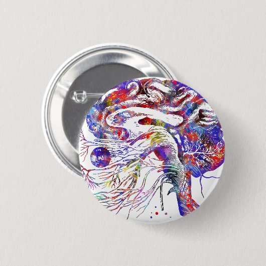 4522bBrain Schädelnerven, Gehirnschädelnerven Button (Vorne & Hinten)