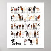 45 Breeds of Goats Chart Poster (Vorne)