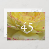 45. Geburtstag Postkarte (Vorne/Hinten)