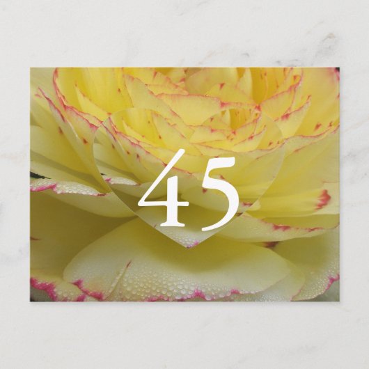 45. Geburtstag Postkarte (Vorderseite)