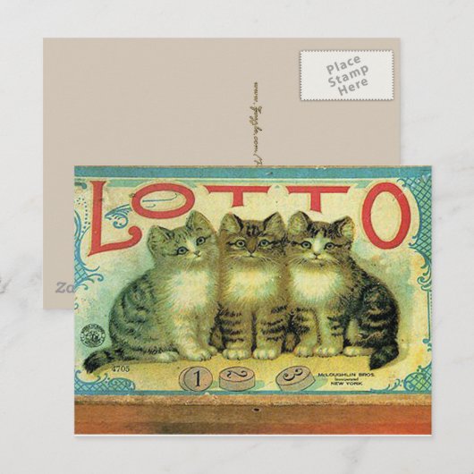 45 Haustiere Postkarte (Vorne/Hinten)