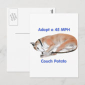 45 mph Couch Potato Postkarte (Vorne/Hinten)