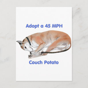 45 mph Couch Potato Postkarte