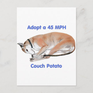 45 mph Couch Potato Postkarte