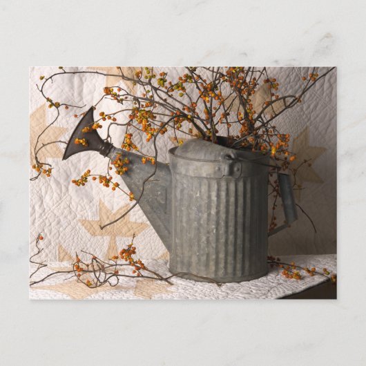 4626 Bittersweet in Watering Can Postcard Postkarte (Vorderseite)