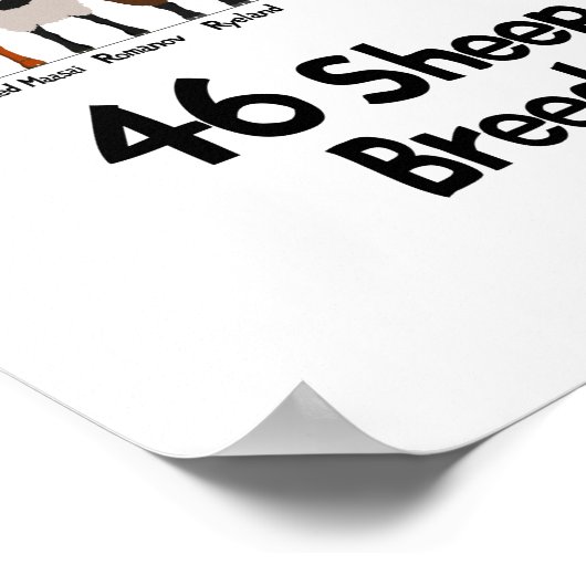 46 breeds of sheep poster (Ecke)