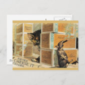 46 Haustiere Postkarte (Vorne/Hinten)