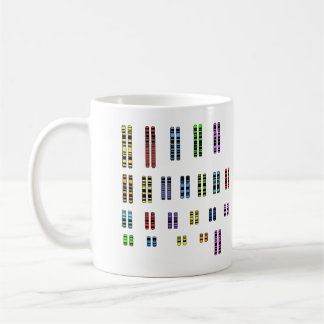 46 Karyotype Tasse