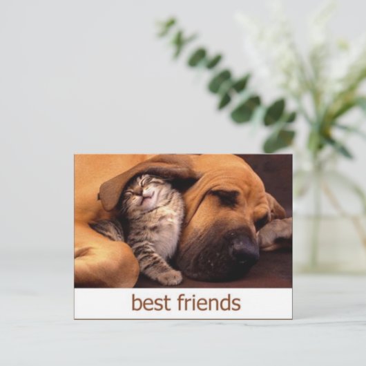 46 POSTKARTE (Stehend Vorderseite)