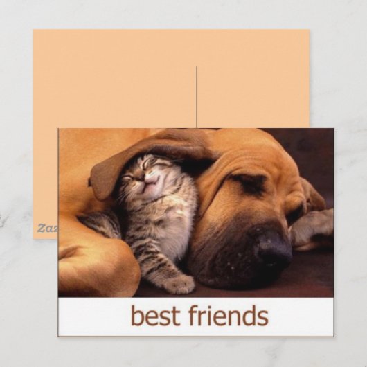 46 POSTKARTE (Vorne/Hinten)