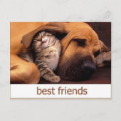 46 POSTKARTE (Vorderseite)