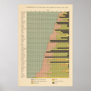 46 Zusammensetzung männliche Bevölkerung 1900 Poster