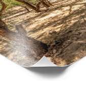 4745-Schattenbäume in der Wüste Fotodruck (Ecke)