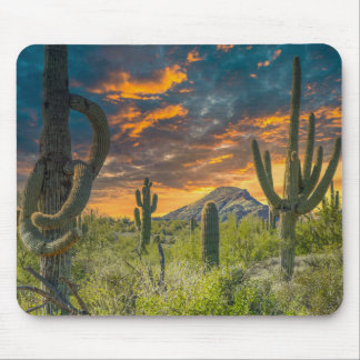 4792-2-Spur Cross Ranch, Höhlengraben, Arizona Mousepad