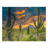 4792-2-Wüste Landschaft bei Sunset Fotodruck (Vorne)