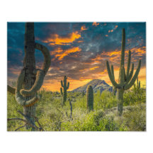 4792-2-Wüste Landschaft bei Sunset