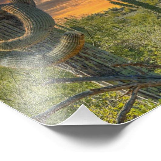 4792-2-Wüste Landschaft bei Sunset Fotodruck (Ecke)