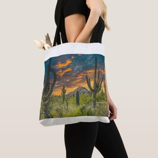 4792-2-Wüste Landschaft bei Sunset Tasche (Von Nahem)
