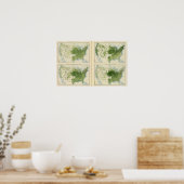 47 Mais 1890 Poster (Küche)