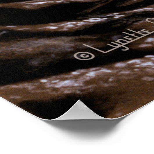 47 Ursae Majoris System Poster (Ecke)