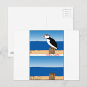 487 Puffin Cartoon Postkarte (Vorne/Hinten)