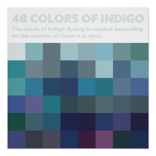 48COLORS OF INDIGO POSTER (Vorderseite)