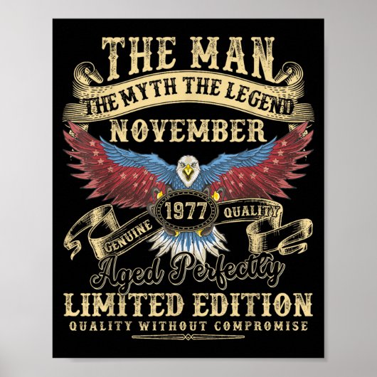 48th Birthday November 1977 Men Funny 48 Years Old Poster (Vorne)