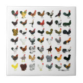 49 Hähne Fliese (Vorderseite)