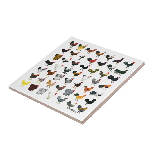 49 Hähne Fliese (Seite)