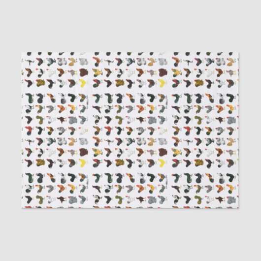 49 Hähne Seidenpapier (Vorderseite)