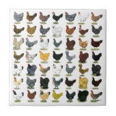49 Huhn-Hennen Fliese (Vorderseite)