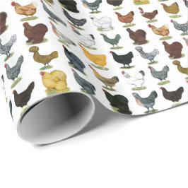 49 Huhn-Hennen Geschenkpapier