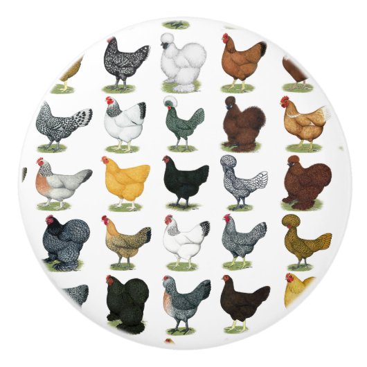 49 Huhn-Hennen Keramikknauf (Vorderseite)