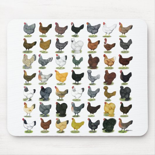 49 Huhn-Hennen Mousepad (Vorne)