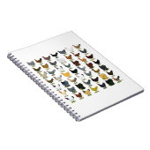 49 Huhn-Hennen Notizblock (Rechte Seite)