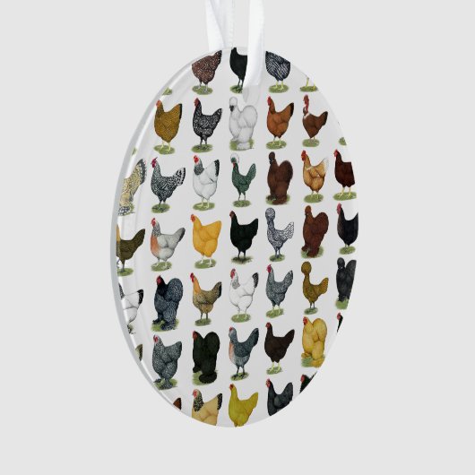 49 Huhn-Hennen Ornament (Vorderseite)