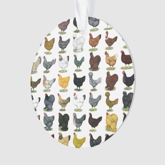 49 Huhn-Hennen Ornament (Vorderseite)